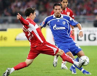 完全适应英 完全适应英